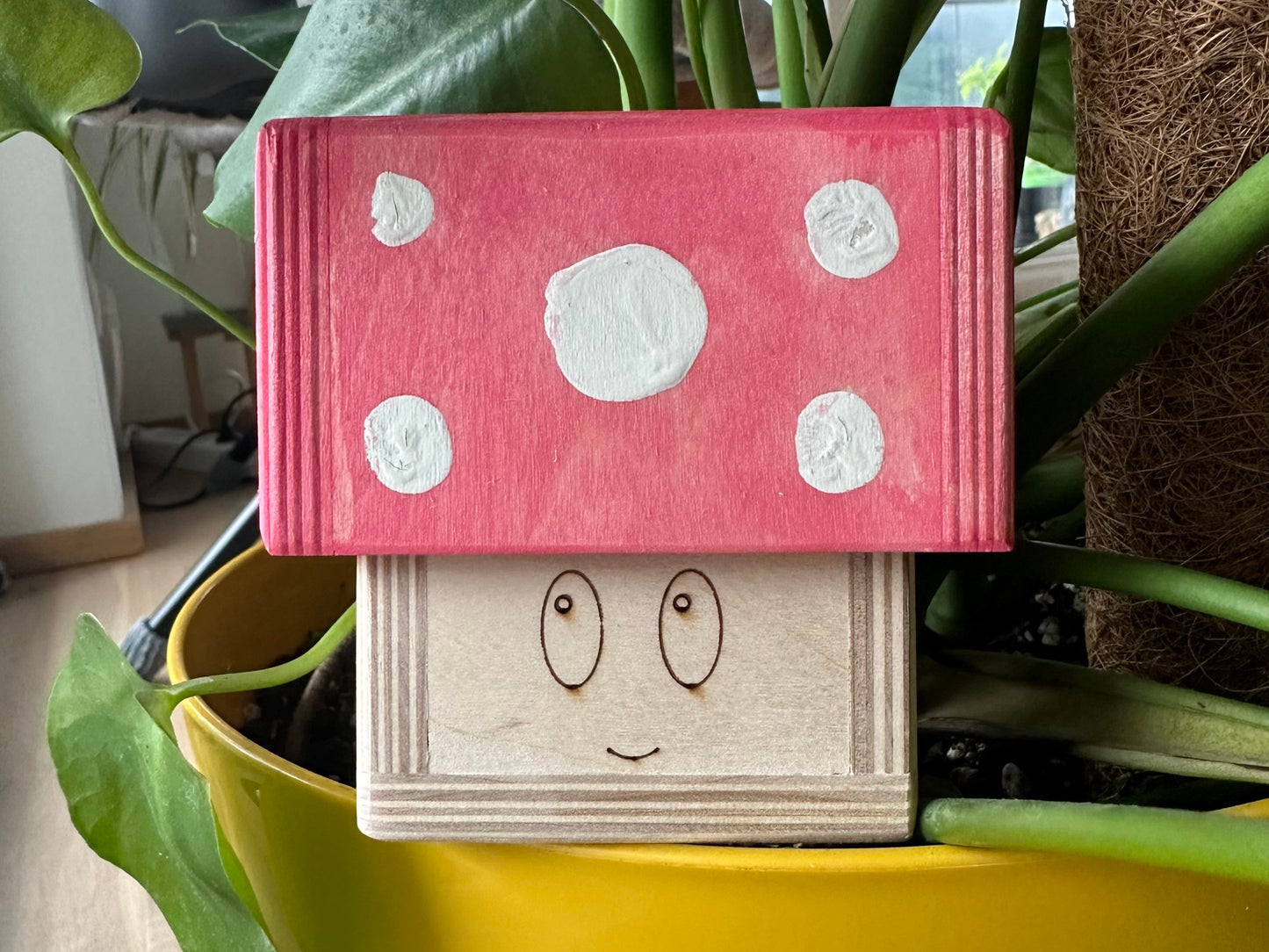 Murmeln-Aufbewahrungsbox